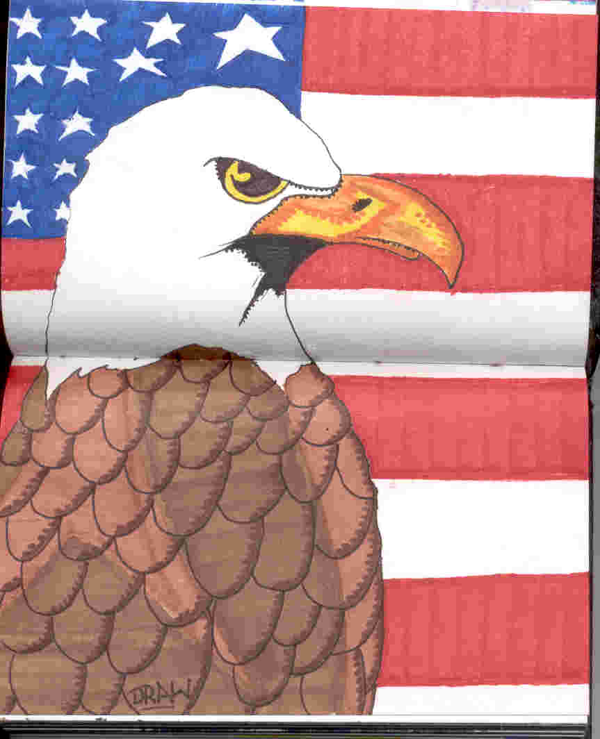 draw-eagle-flag....Thanx to DRAW..,....